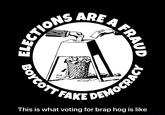 TIONS ARE A FR This is what voting for brap hog is like BOYCOTT FAKE DEMOCRACY FRAUD