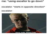 : *using escaltor to go down* escalator: *starts in opposite direction* escalator: Sorry,mate. Wrong path.