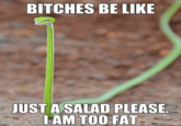 BITCHES BE LIKE JUST A SALAD PLEASE IAM TOO FAT
