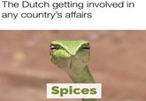 The Dutch getting involved in any country's affairs Spices