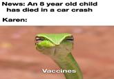 News: An 8 year old child has died in a car crash Karen: Vaccines