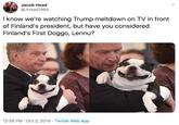 Jacob Head @JHead1984 I know we're watching Trump meltdown on TV in front of Finland's president, but have you considered Finland's First Doggo, Lennu? 12:56 PM Oct 2, 2019 Twitter Web App