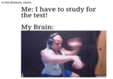 in the distance, sirens Me: I have to study for the test! My Brain: FL