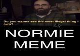 Do you wanna see the most illegal thing I own? NORMIE МЕМЕ