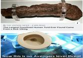 THE VINTAGE NEWS 4 MIN READ The Largest Fossilized Human Turd Ever Found Came From a Sick Viking Now this is an Avengers level threat
