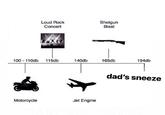 Loud Rock Concert Shotgun Blast 100 110db 140db 165db 115db 194db dad's sneeze Jet Engine Motorcycle