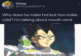 Chirpy @Chirpy89605714 Why does ha make hot but hoo make cold? I'm talking about mouth wind He is speaking the language of gods.