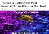 The Bee Is Declared The Most Important Living Being On The Planet Admin September 29, 2019 0 DO NOT QUESTION THE ELEVATED ONE