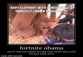 BABY ELEPHANT WITH SUNGLASSES IS HONESTLY LOOKIN KINDA FRESH DOE made with mematic fortnite obama you're may now exhale through nose harder than usual because funny word made with mematic