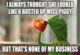 IALWAYS THOUGHT SHE LOOKED LIKEA BUSTED UP MISS PIGGY BUT THATS NONE OF MY BUSINESS imgflip.com
