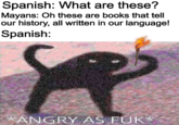 Spanish: What are these? Mayans: Oh these are books that tell our history, all written in our language! Spanish: *ANGRY AS F--