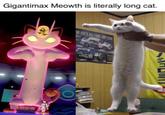 Gigantimax Meowth is literally long cat M ITC'S ALL-TIME TOP TEAM