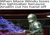 When Mace Windu loses his lightsaber because Anakin cut his hand off AN Parry this, you filthy casual.