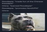 Pewdiepie: *made fun of the Chinese President* China: *banned Pewdiepie* Pewdiepie: *promotes NordVPN* China: