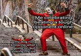 Me celebrating beating a tough opponent online oimaghost my dog not knowing what's going on but joining myjoy