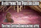 EYOU THINK TIDE PODS AREGOOD TRY THE COTTONCANDINTHE ATTIC