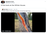 Benjamin Park @BenjaminEPark A live look at the White House. So Fain @sofain Oct 19 A look inside a tree that has been struck by lightning. 0:13 18.3M views