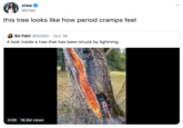 ziwe @ziwe this tree looks like how period cramps feel So Fain @sofain . Oct 19 A look inside a tree that has been struck by lightning. 0:08 18.3M views