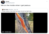 Farah @_faraahyasser Me on the inside when i get jealous So Fain @sofain Oct 19 A look inside a tree that has been struck by lightning. 18.3M views 0:11