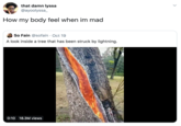 that damn lyssa @ayoolyssa_ How my body feel when im mad So Fain @sofain Oct 19 A look inside a tree that has been struck by lightning. 18.3M views 0:10
