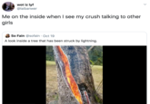 wot iz lyf @laibanwer Me on the inside when I see my crush talking to other girls So Fain @sofain Oct 19 A look inside a tree that has been struck by lightning.