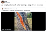 fer @rode0_ My empty stomach after eating a bag of hot cheetos So Fain @sofain Oct 19 A look inside a tree that has been struck by lightning. 0:09 18.3M views
