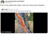 MG 1/100 SPOOKY BOYFRIEND @foxgraves this is my sphincter after i eat too many hot cheetos So Fain @sofain Oct 19 A look inside a tree that has been struck by lightning 0:12 18.4M views