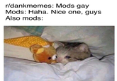 r/dankmemes: Mods gay Mods: Haha. Nice one, guys Also mods: