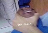My arteries The biscuit