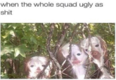 when the whole squad ugly as s---