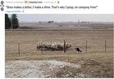 Sheepdog Trainer 6 months ago Posted by u/JaderBug12 17.3k "Boss makes a dollar, I make a dime. That's why I poop, on company time!" .imgur.com/5iTW93...