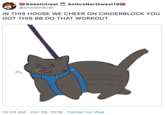 AnthroNorthwest19 Sweetntreat SOON @smolpinkcat IN THIS HOUSE WE CHEER ON CINDERBLOCK YOU GOT THIS BB DO THAT WORKOUT Sopinkea Sipinkant 10:33 AM Oct 26, 2019 Twitter for iPad
