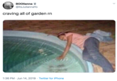 BOOlianna @ltsJuliannaYo craving all of garden rn 1:36 PM Jun 14, 2019 Twitter for iPhone