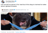 The Daily Show @TheDailyShow He would've done it for real but this dog is trained to take down global threats Donald J. Trump @realDonald Trump 2h AMERICAN HERO! 11:46 AM Oct 30, 2019 Twitter Web Client