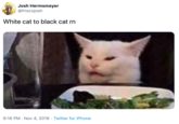 Josh Hermsmeyer @friscojosh White cat to black cat rn 9:16 PM Nov 4, 2019 Twitter for iPhone . .