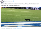 Zach Haberman @ZHaberman Black Cat is the most entertaining thing that's been on the field all year at MetLife. 9:25 PM Nov 4, 2019 Twitter for iPhone .