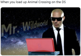 When you load up Animal Crossing on the DS Mr. Wildworld -