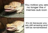 You notice you are no longer the r/ memes sub icon It's ok because you are still amazing and will be remembered