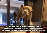 B.TCH, DID YOU HEAR ME BARKING. MATT RYAN JUST THREW A INTERCEPTION. ISHOULD GO IN THE LOCKER ROOM AND BITE HIM IN THE ASS imgflp com