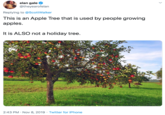elan gale @theyearofelan Replying to @ScottWalker This is an Apple Tree that is used by people growing apples. It is ALSO not a holiday tree. 2:43 PM Nov 8, 2019 Twitter for iPhone