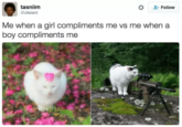 tasniim Follow @vilelant Me when a girl compliments me vs me when a boy compliments me