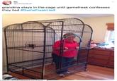 fin @InfinityQUP grandma stays in the cage until gamefreak confesses they lied #GameFreakLied P/status/1194593298809270272/phot...