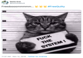 Deniz Erol @homoOdinuS Freedoooommmmm... #FreeQuilty 50 45 F--- THE SYSTEM! 11:37 AM Nov 12, 2019 Twitter for Android