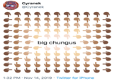 Cyranek @Cyranek +eeet big chungus 1:32 PM Nov 14, 2019 Twitter for iPhone
