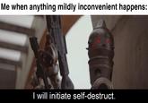 Me when anything mildly inconvenient happens: I will initiate self-destruct.