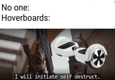 No one: Hoverboards: I will initiate self destruct.