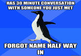Penguin HAS 30 MINUTE CONVERSATION WITH SOMEONE YOU JUST MET FORGOT NAME HALF WAY IN quickmeme.com