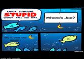 THE BAIT u/Didgeway ONLY SOMEONE STUPID Where's Joe? WOULD FALL FOR THAT.. My 8 year old cousin SRGRAFO made with mematic