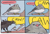 CAW ILILILILILILILI/ ILILILIL 1 < N{wttin t CAW CAW! FALSEKNEES (on201 o
