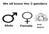 We all know the 3 genders And Male Female Najimi